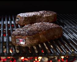 Gegrilltes Fleisch ist wohl das beste Beispiel f&uuml;r die Maillard Reaktion